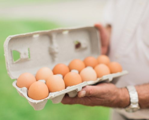 all natural, pastured eggs