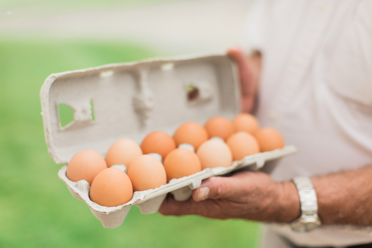 all natural, pastured eggs