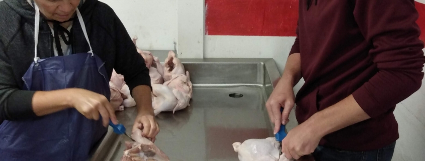 fresh chicken processing